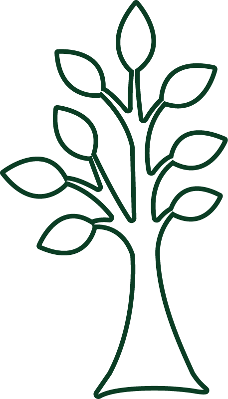 baum